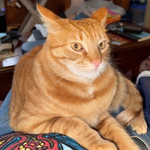 Team Page: The Mighty Hanks